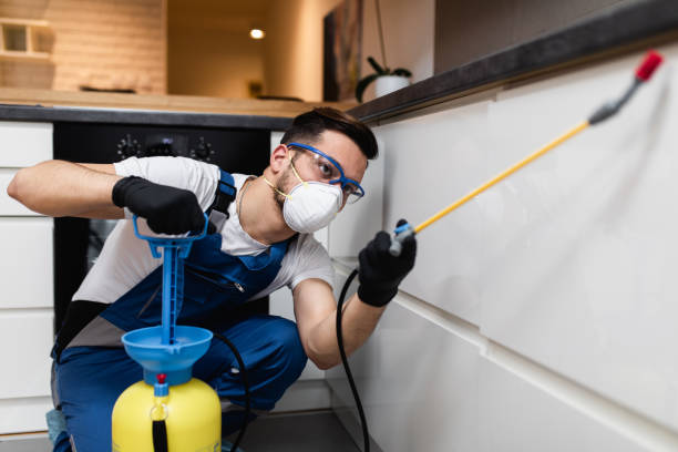 Best Rat Extermination Near Me  in Morgantown, MS
