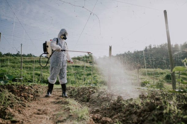 Best Pest Prevention Services  in Morgantown, MS