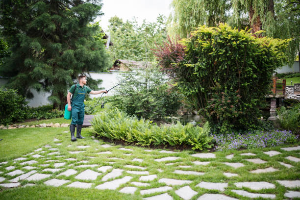 Best Affordable Pest Control Services  in Morgantown, MS