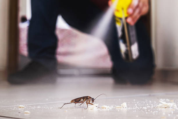 Best Wildlife Control Services  in Morgantown, MS